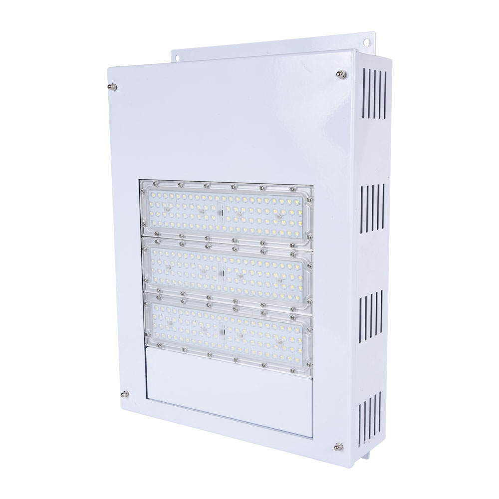 LR017 LED Canopy Light IP66