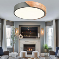 SUPER ELR-0001-GW-18W Round Ceiling Light- Lightwood and pastel grey frame