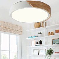 SUPER ELR-0001-WW-18W Round Ceiling Light with Lightwood and Pastel White frame